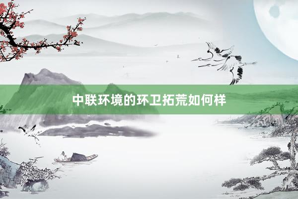 中联环境的环卫拓荒如何样