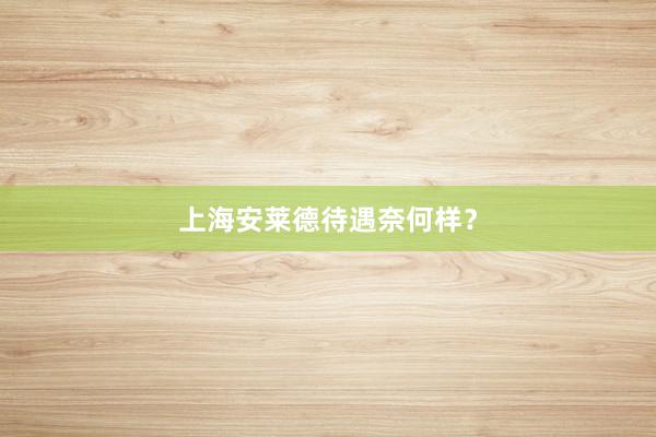 上海安莱德待遇奈何样？